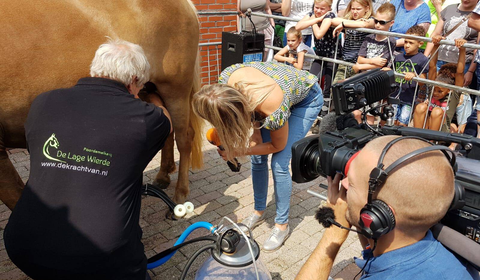 paardenmelk-producten-waar-te-koop